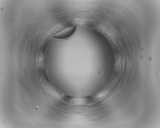 X0000088850526200706221703