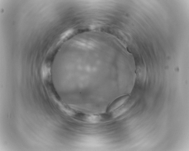 X0000088850527200706221703