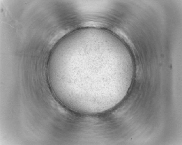 X0000088850529200706221702