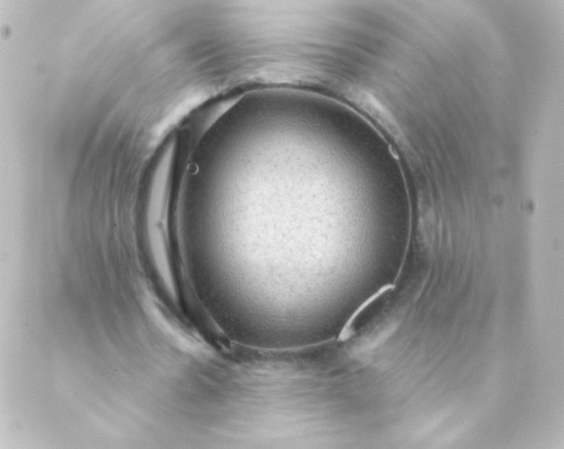 X0000088850530200706221702