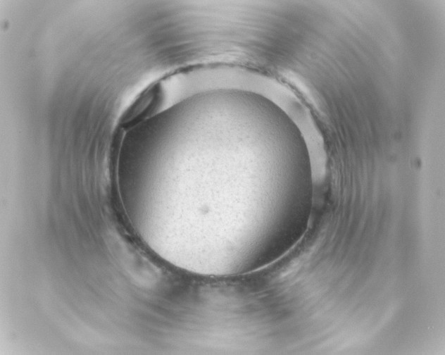 X0000088850532200706221702