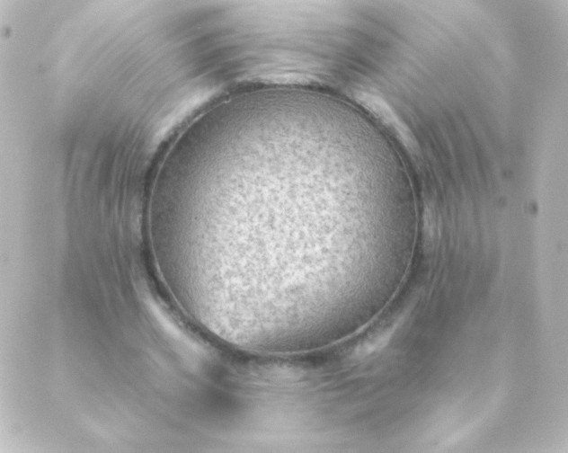 X0000088850533200706221702