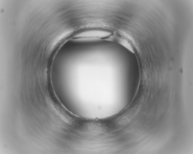 X0000088850535200706221702