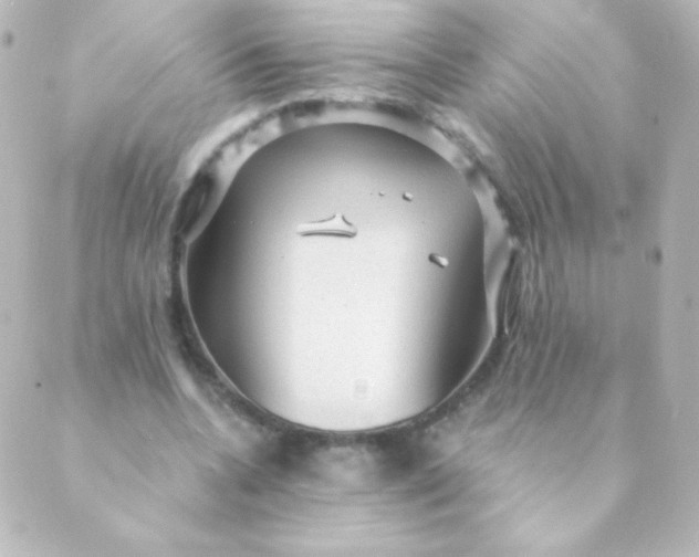 X0000088850536200706221702