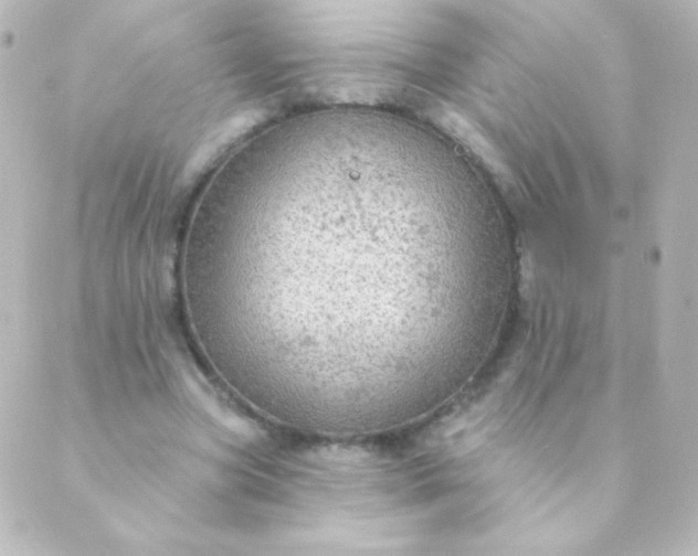 X0000088850537200706221702