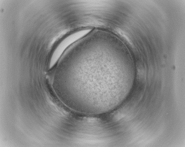 X0000088850539200706221702