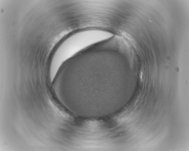 X0000088850540200706221702