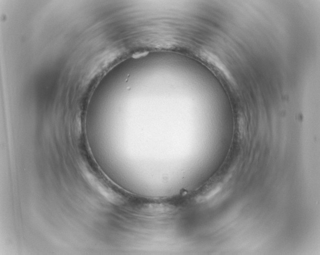 X0000088850541200706221703