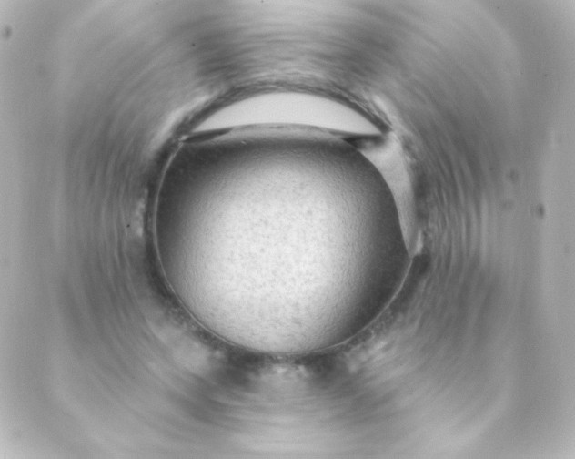 X0000088850543200706221703