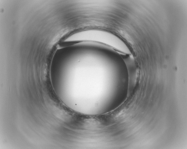 X0000088850544200706221703