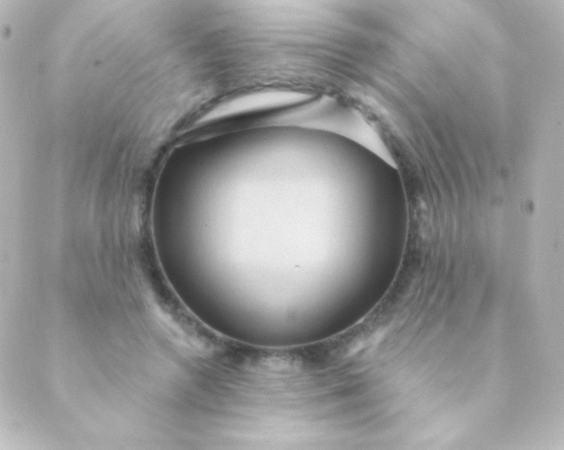 X0000088850546200706221703