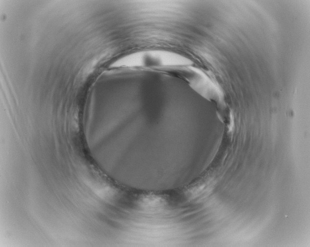 X0000088850547200706221703