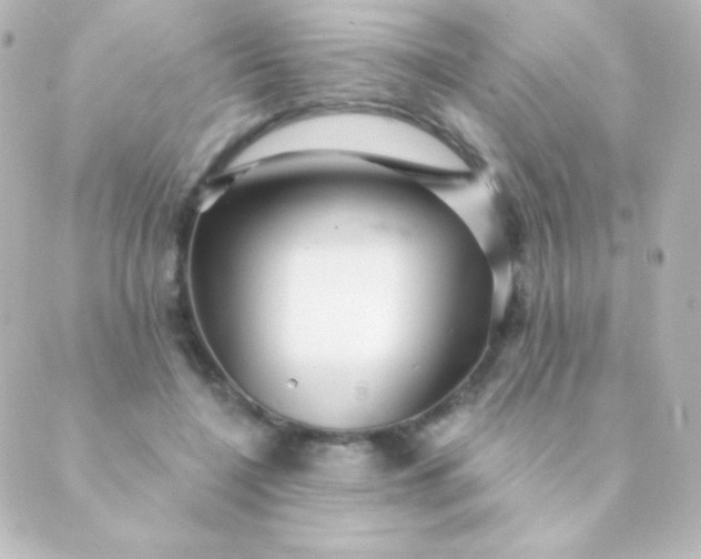 X0000088850548200706221703