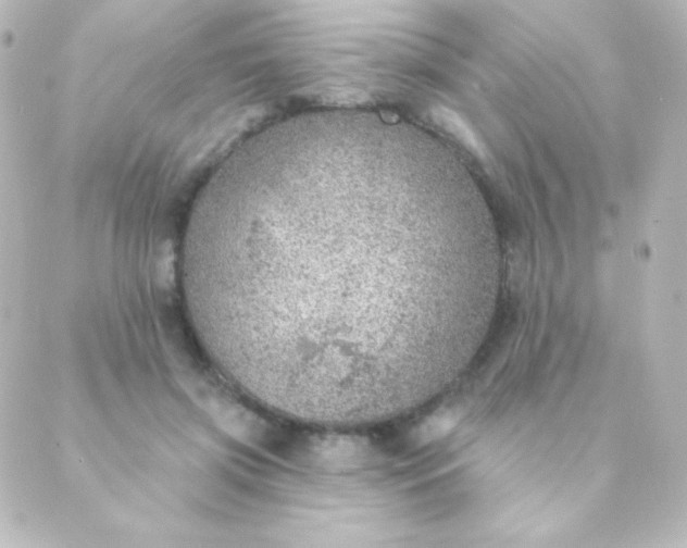 X0000088850549200706221703