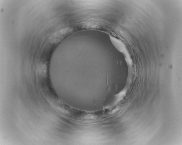 X0000088850551200706221703