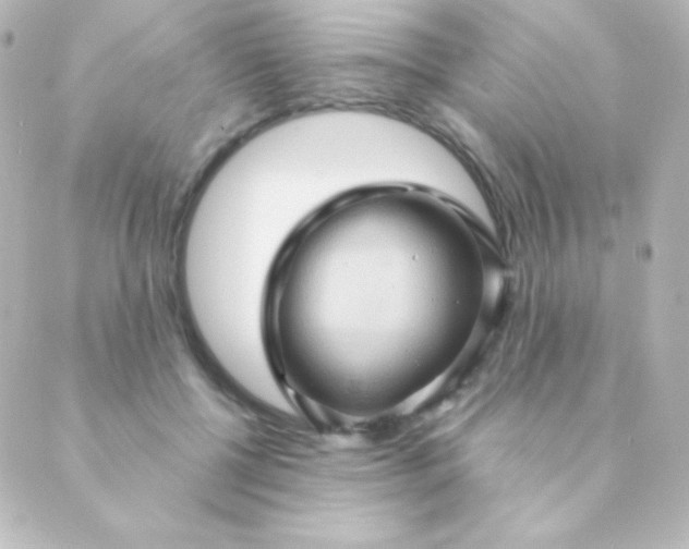 X0000088850552200706221703