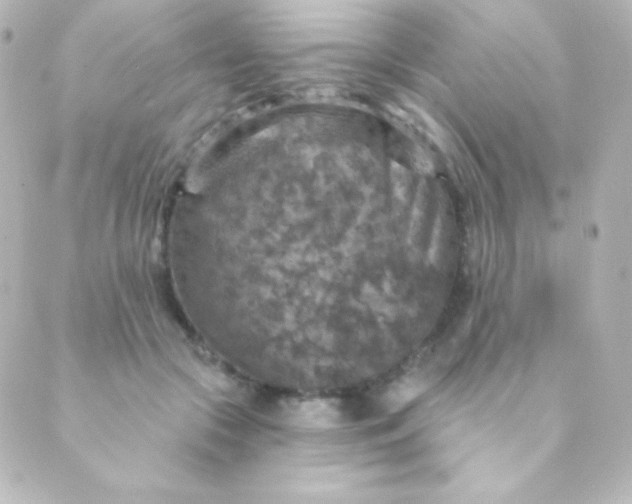 X0000088850553200706221703