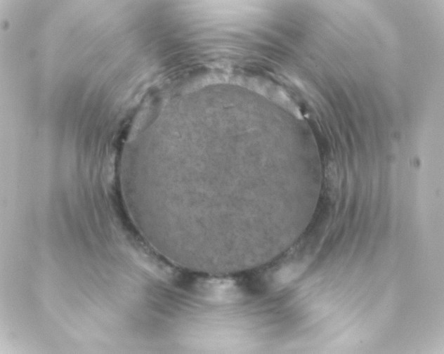 X0000088850554200706221703