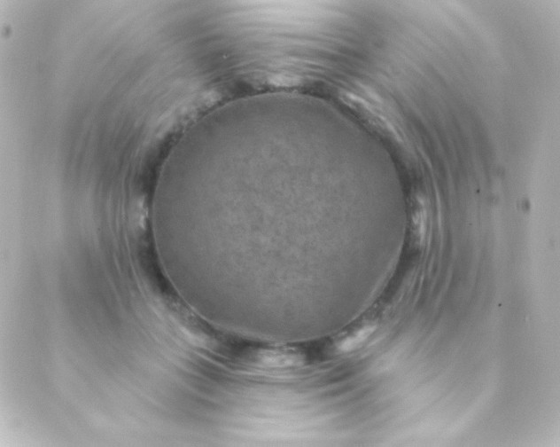 X0000088850555200706221703