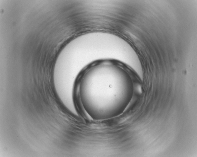 X0000088850556200706221703