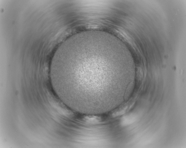 X0000088850557200706221703