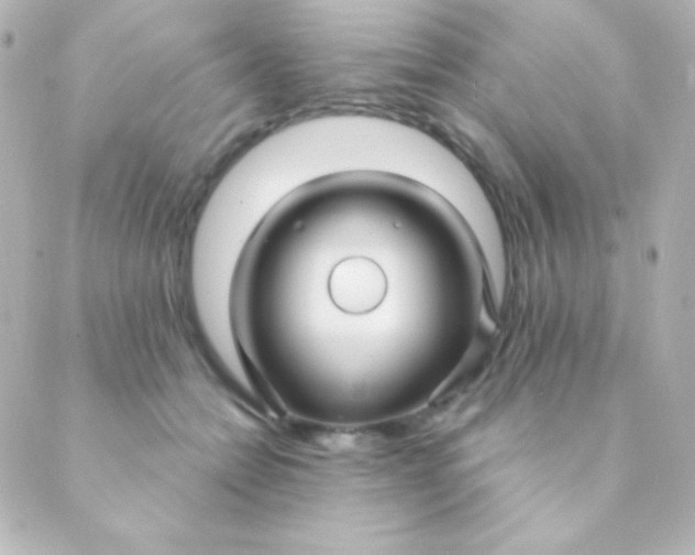 X0000088850558200706221703