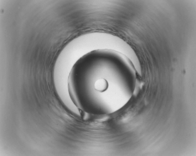 X0000088850562200706221703