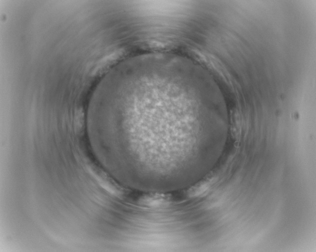 X0000088850563200706221703