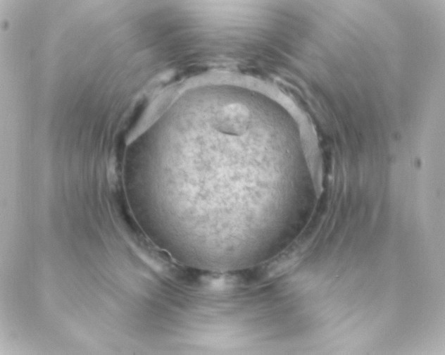 X0000088850564200706221703