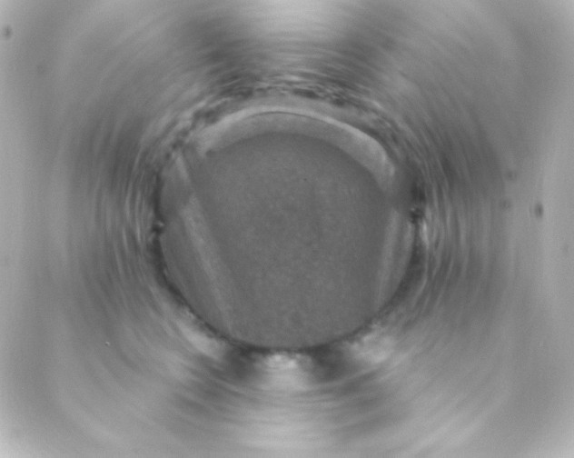 X0000088850566200706221703