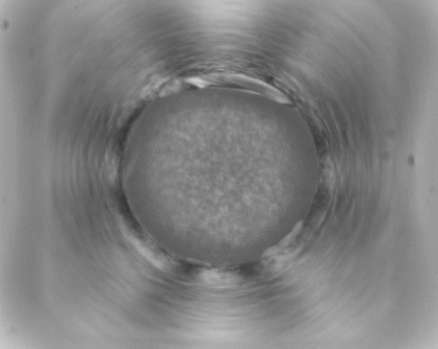 X0000088850568200706221703