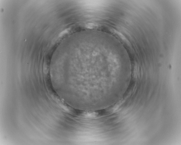 X0000088850569200706221703