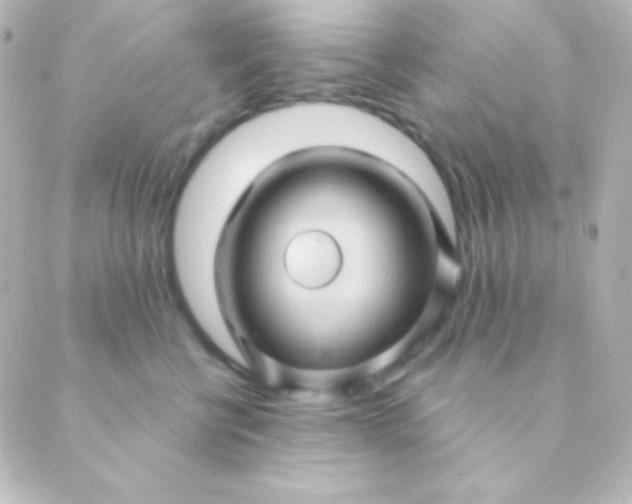 X0000088850570200706221703