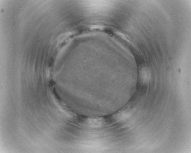 X0000088850571200706221703