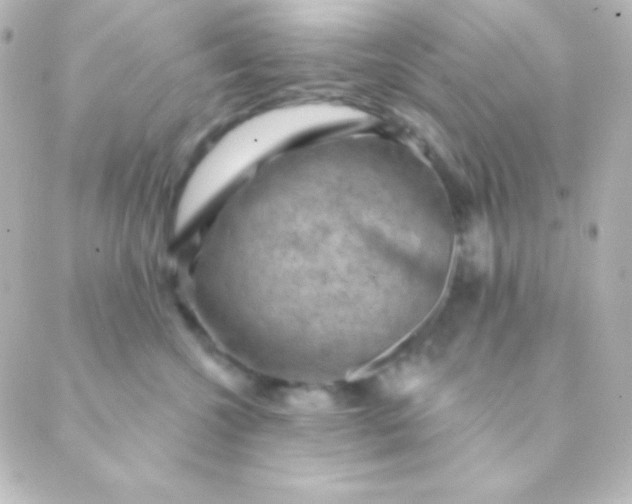 X0000088850572200706221703