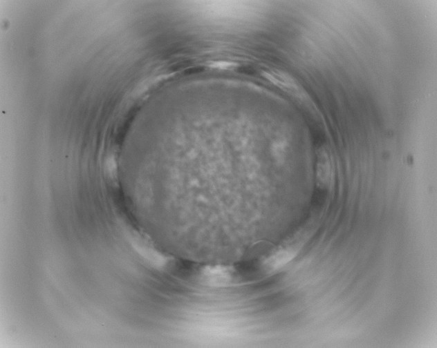 X0000088850573200706221703