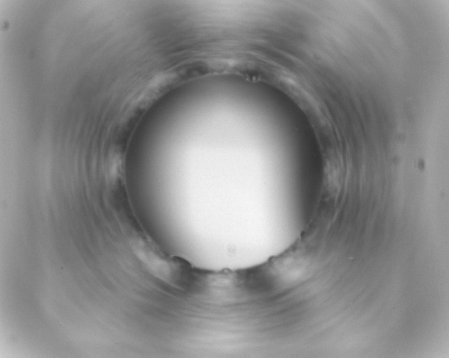 X0000088850574200706221703