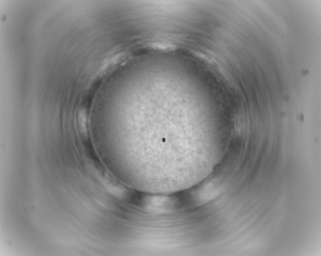 X0000088850575200706221703