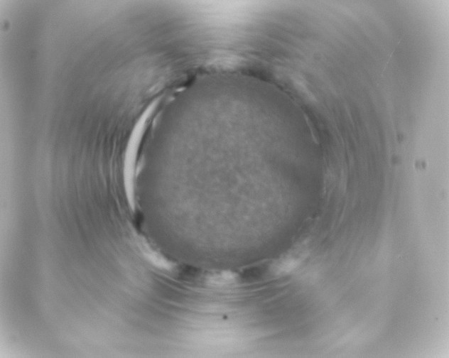 X0000088850576200706221703