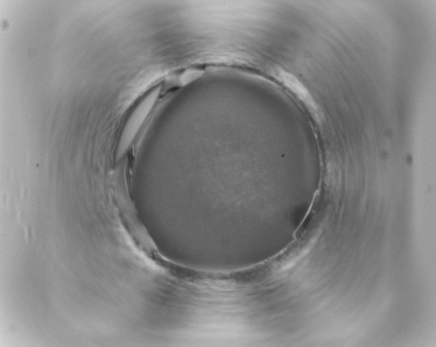 X0000088850577200706221702