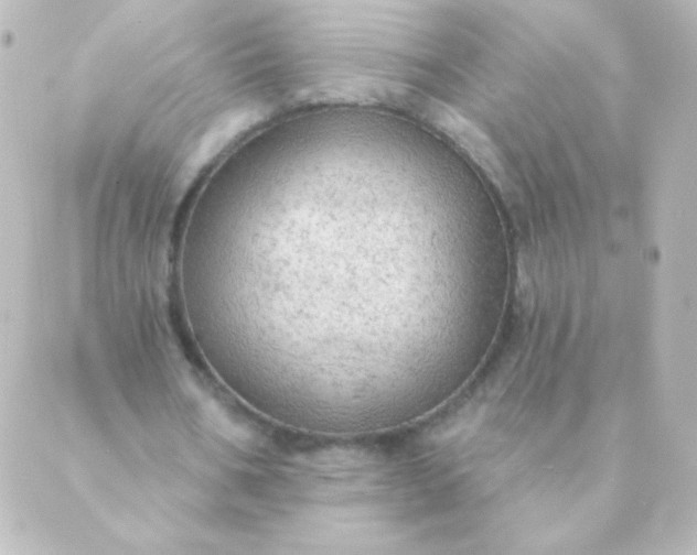 X0000088850578200706221702