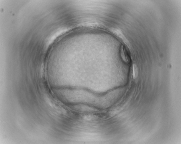 X0000088850579200706221702