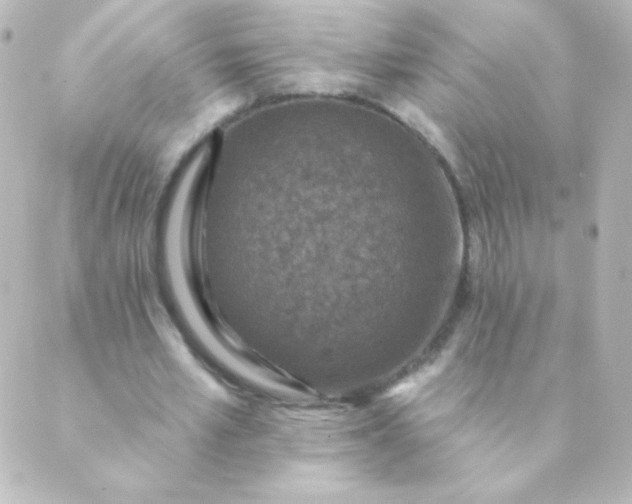 X0000088850581200706221702