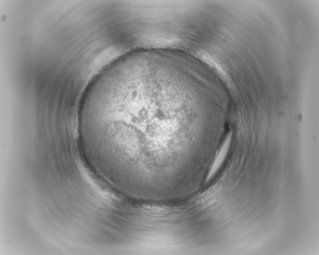 X0000088850582200706221702