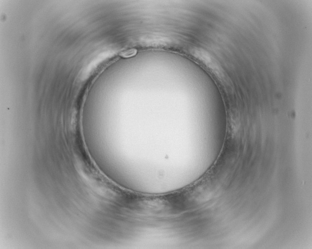 X0000088850583200706221702