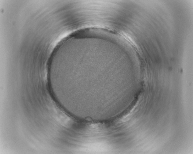 X0000088850584200706221702