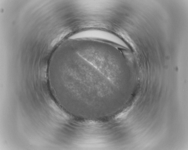 X0000088850585200706221702