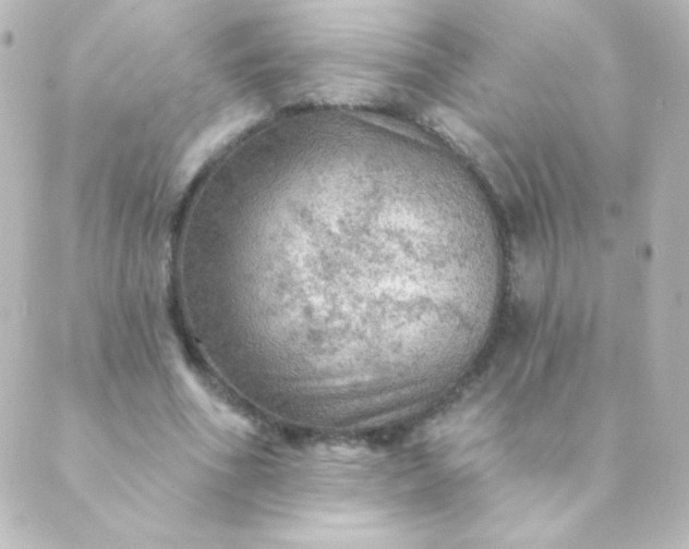 X0000088850586200706221702