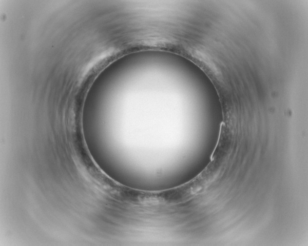 X0000088850587200706221702