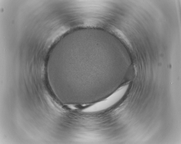 X0000088850588200706221702